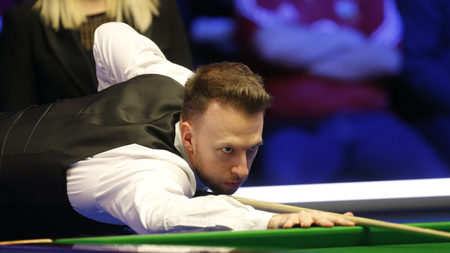 情感和支持 情感和支持