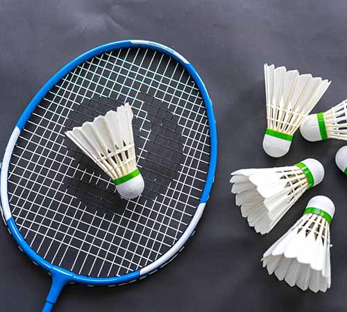 他在网前的 他在网前的