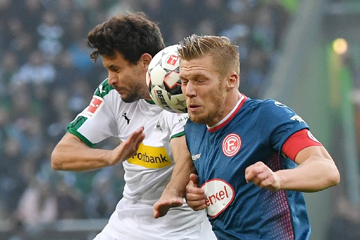 他们不仅尊 他们不仅尊