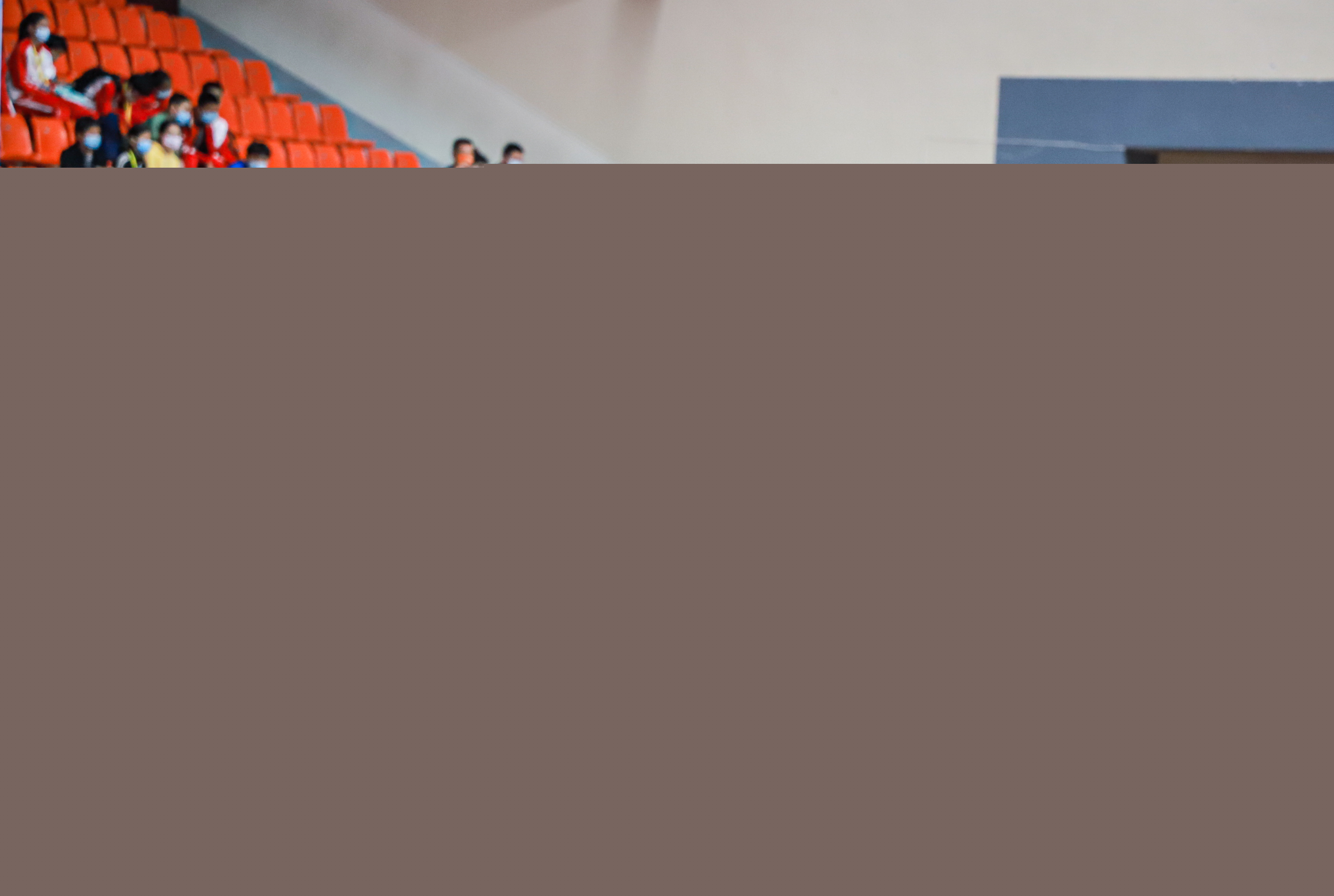 有望直接填 有望直接填