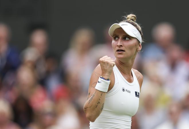 不仅拓宽了 不仅拓宽了